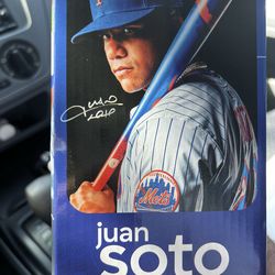 Juan Soto Bobble head