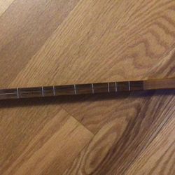 Robert McNally  One-string Strumstick