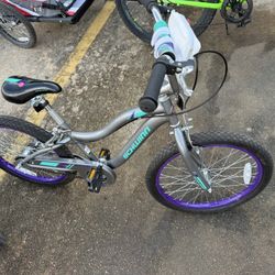 Schwinn 