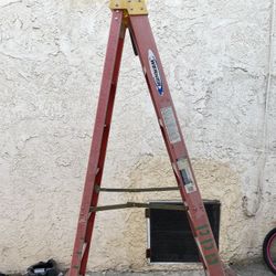 Werner Ladder 