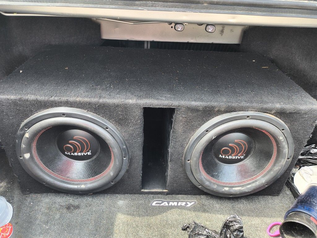 Complete System With Amp And 2 12" Speakers
