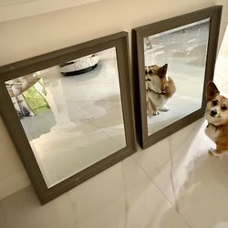2 Mirrors For Sale (Corgi Not Included)