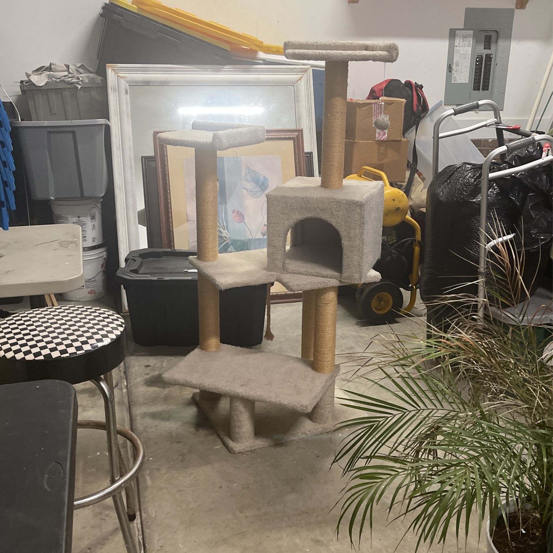 Cat. Stand.
