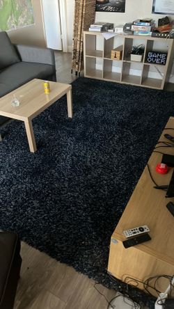 Rugs – 2 Blue Shags + Red Shag + Blue Blanket