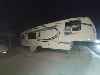 36foot wildcat