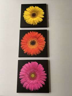 Wooden Decorative Wall Decor