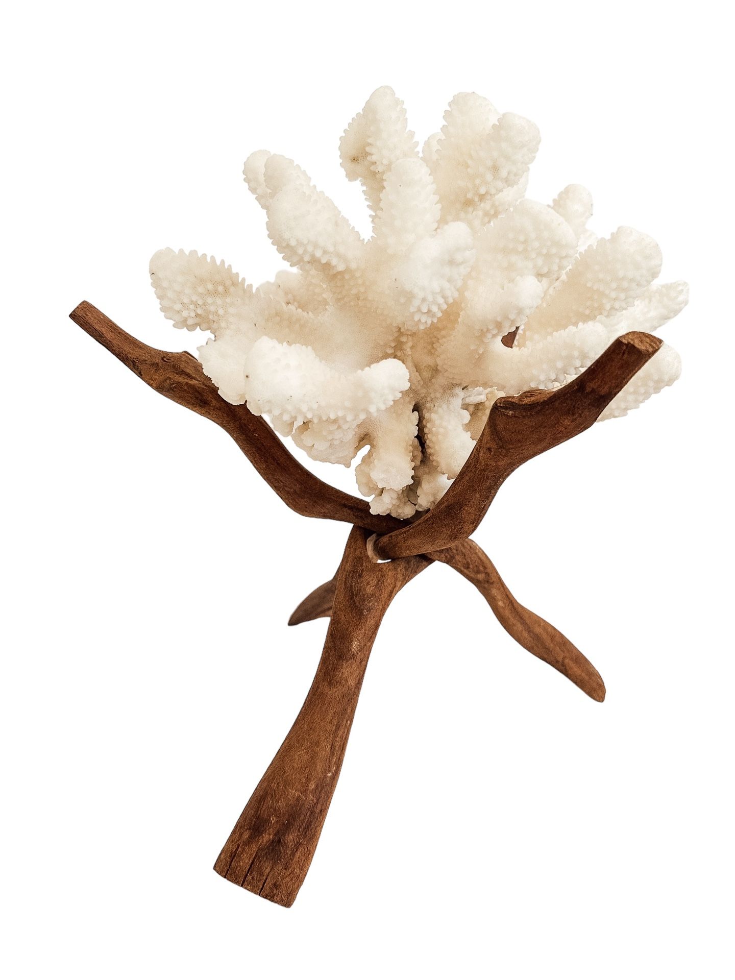 Wood Plant Stand Display Tripod Sphere for Crystal Ball - Coral - Book Hand Carved Vintage Fold Up