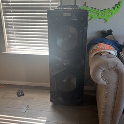 Big Speaker