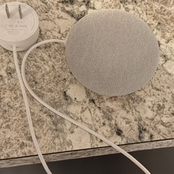 Google Mini 