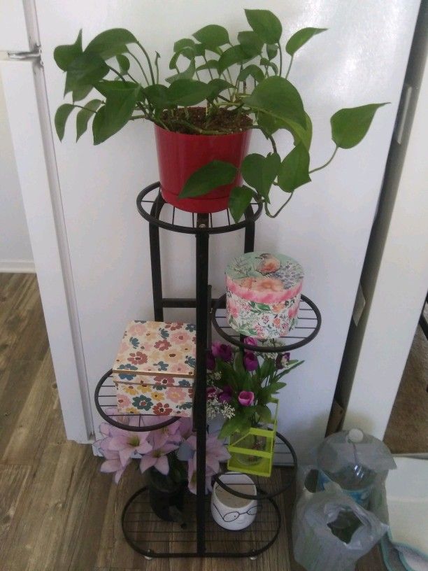 Plants $5 to $10