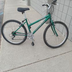 26 inch raleigh bike