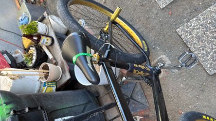 SE bike 29