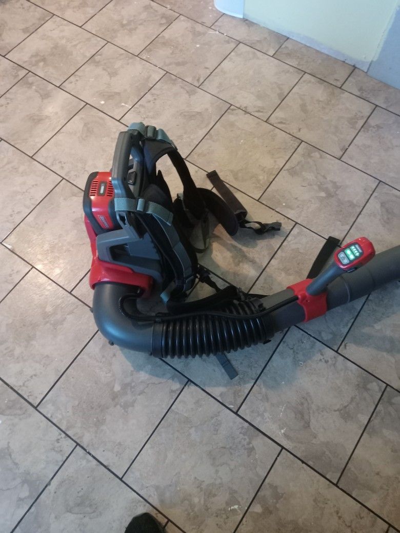 Snapper 60 Volt Backpack Blower