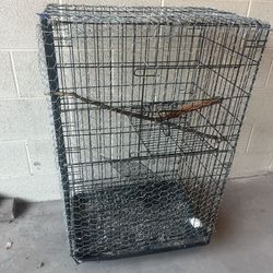 Bird Cage