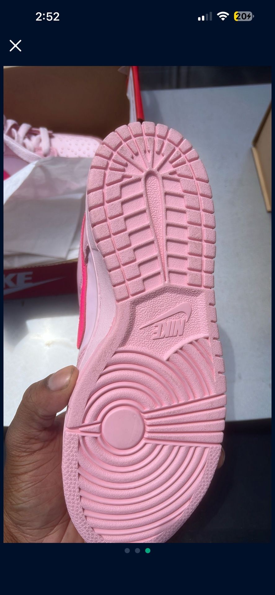 Nike Dunks Low