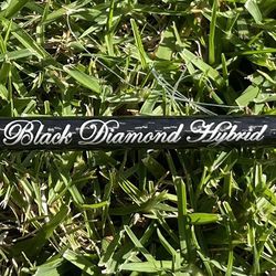 Phenix Black Diamond Hybrid Heavy Fishing Rod