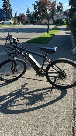 insinwheel e-bike