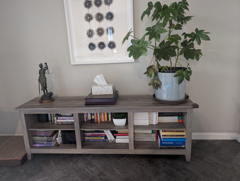 TV stand with shelves