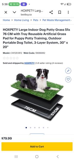 HOXPETY Large Indoor Dog Potty Grass Pad 51x76cm