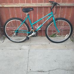 Specialized Mountain Bike 