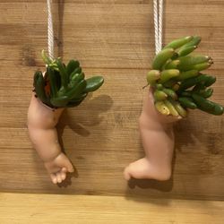 Hanging Succulent Ornaments By Local Artist 