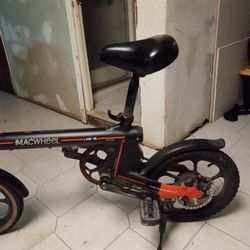 Electric Folding Bike 