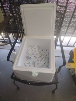 styrofoam ice chest brand new with 11 ice packs in it refreezable Style