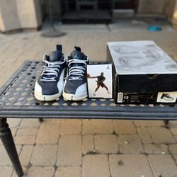 Air Jordan 12 Retro Low