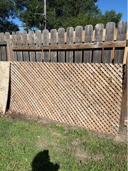 Lattice