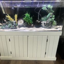 Fish Tank