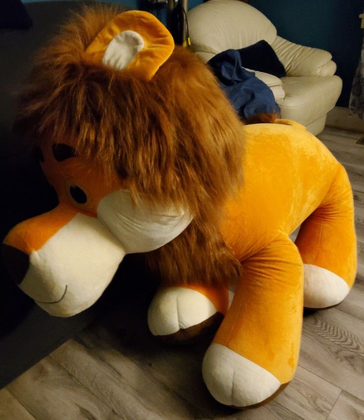 I an salees a lion Teddy For $20.00
