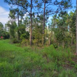1.25 Acres 