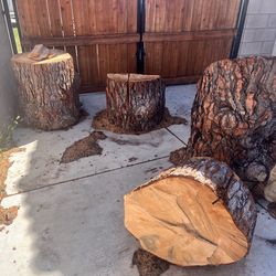 Wood stumps