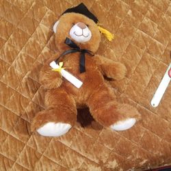 16 Inch Graduation Teddy Bear