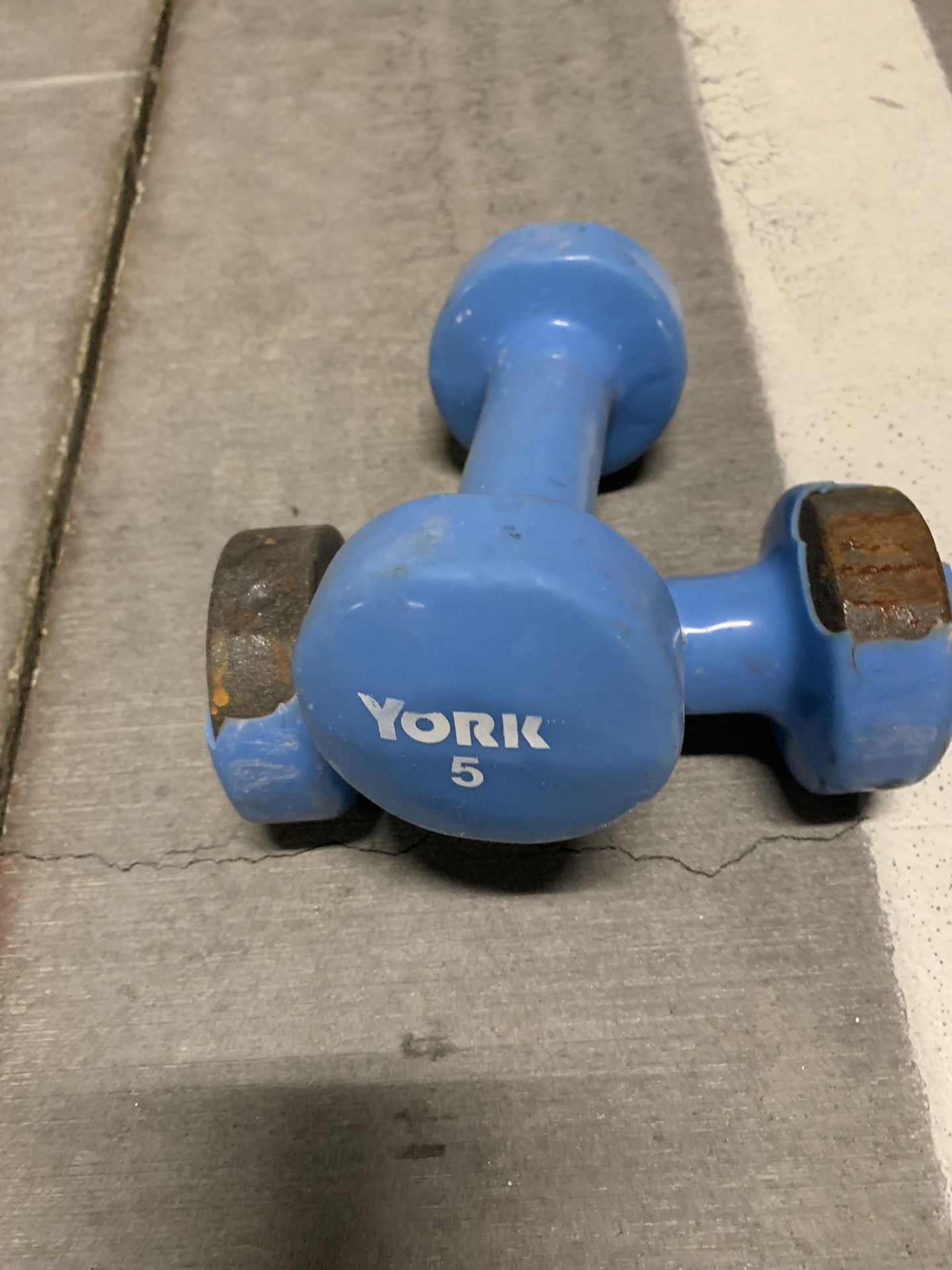 5 Bound’s Dumbbell Available 95134