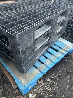 Plastic Pallets
