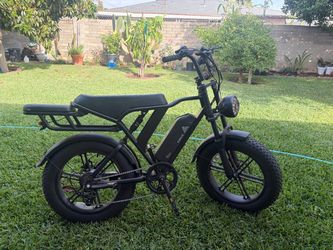 TST electric bike for adults