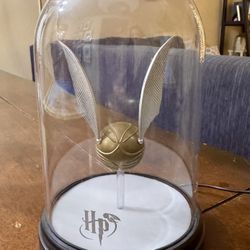 Harry Potter Lamp