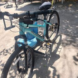 Schwinn 27 Inch 