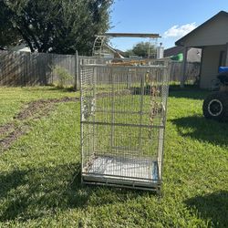 Bird Cage 