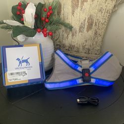 XL Light Up Dog Vest Harness USB Rechargeable, Soft Padded, Adjustable & Reflective Light for Dog Harness at Night Blue