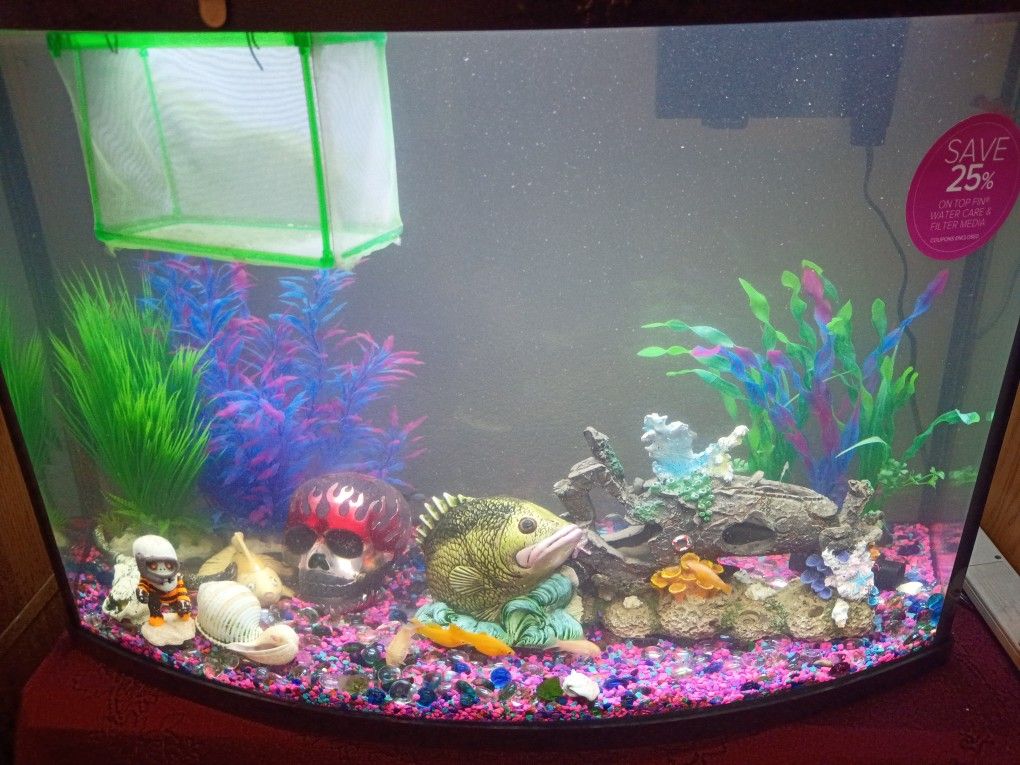 69 Gallon Fish Tank Complete With Stuff