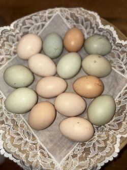 Eggs