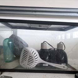 Terrarium Type: Glass enclosure with a mesh top for ventilation, suitable for reptile lighting and heating elements.