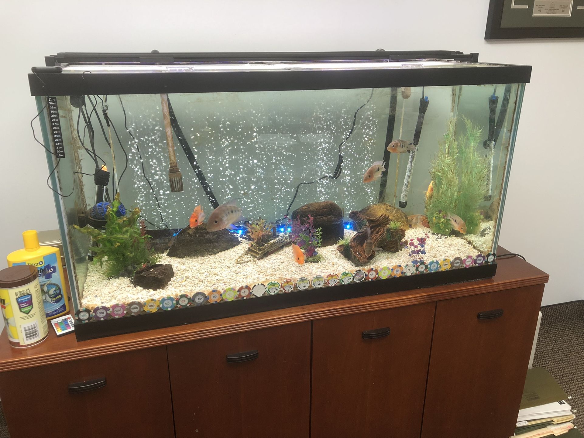 90 Gallon Fish Tank  