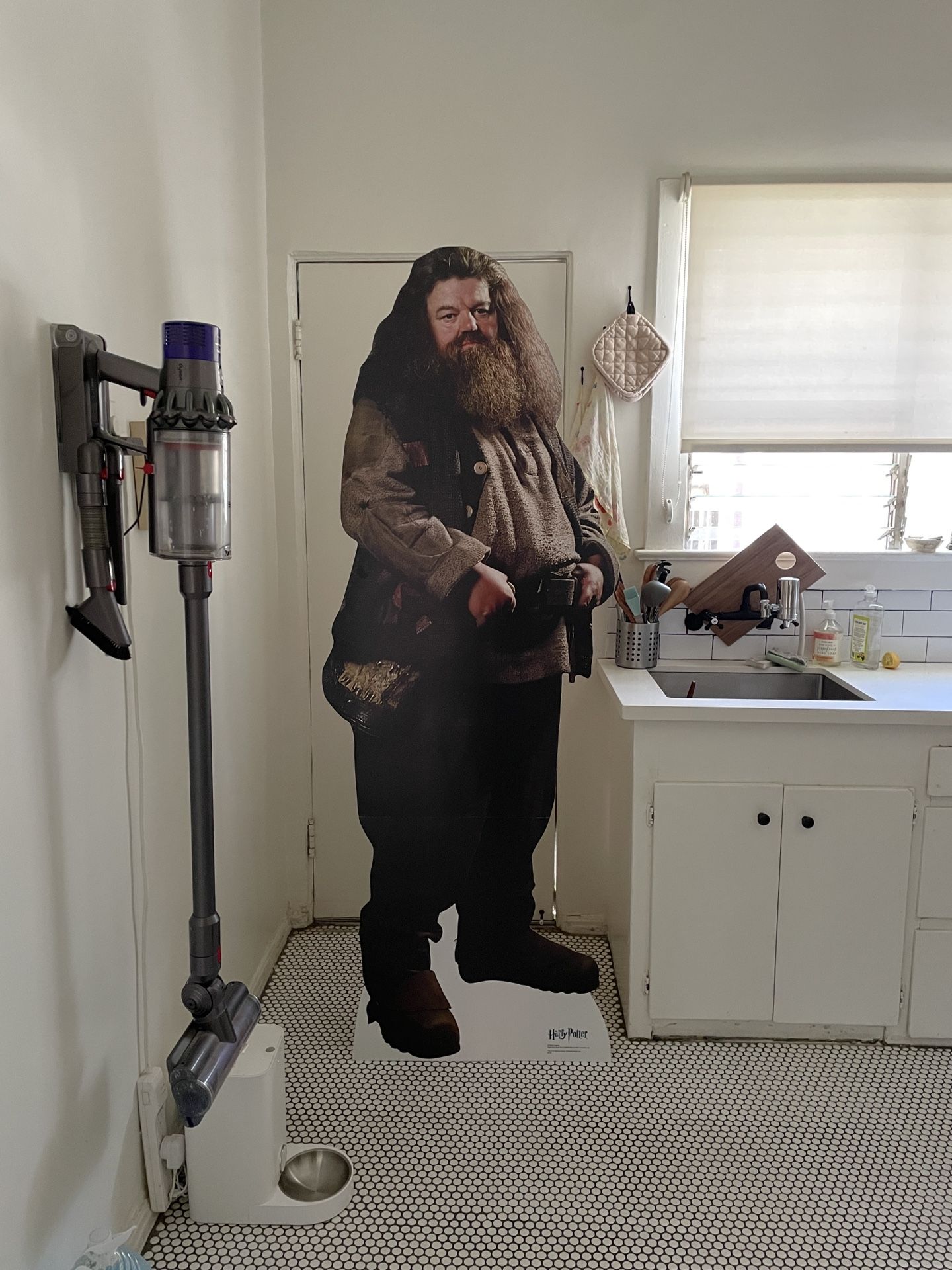 Hagrid Harry Potter birthday party, cardboard cutoff full size