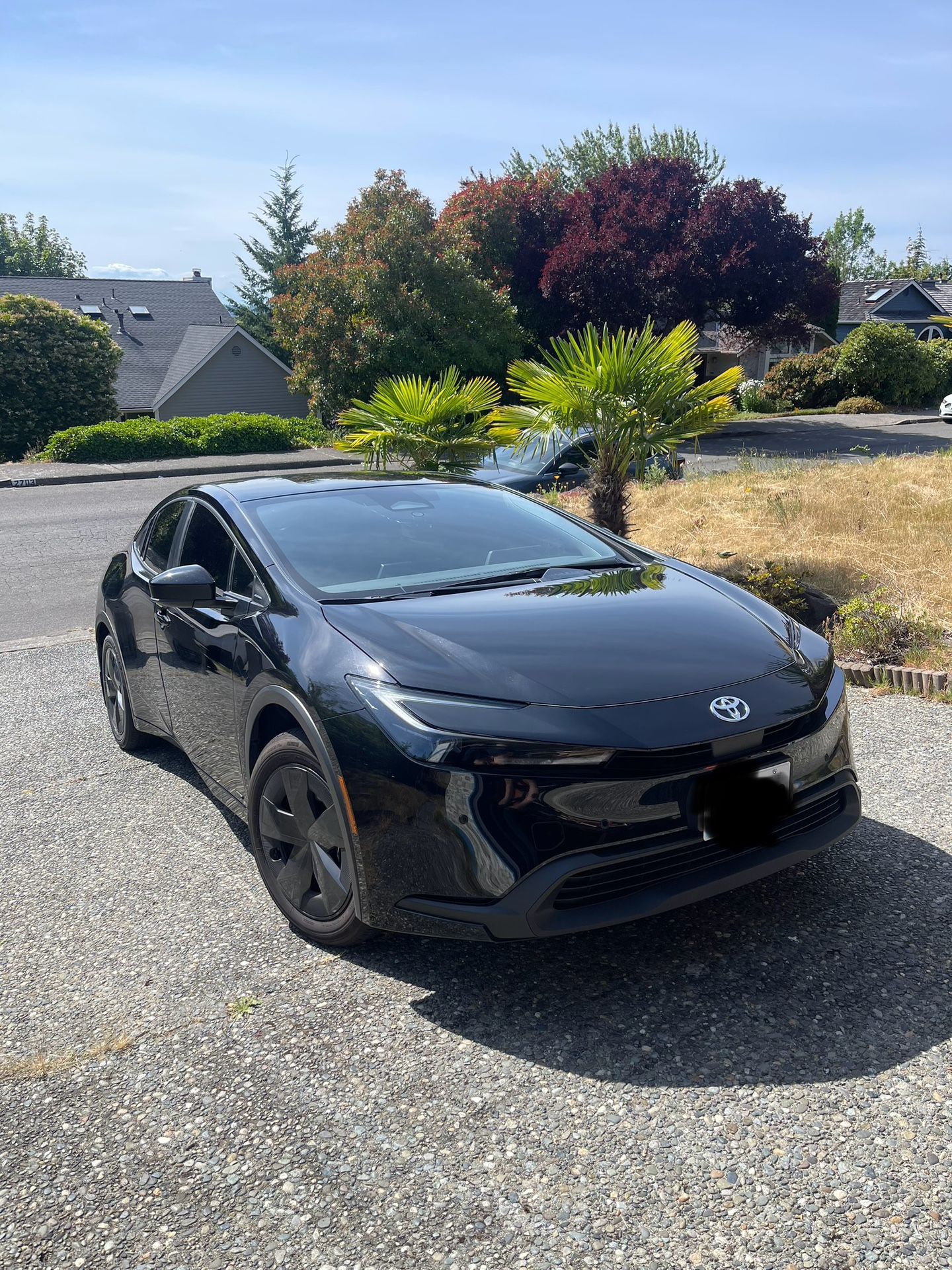 2024 Toyota Prius