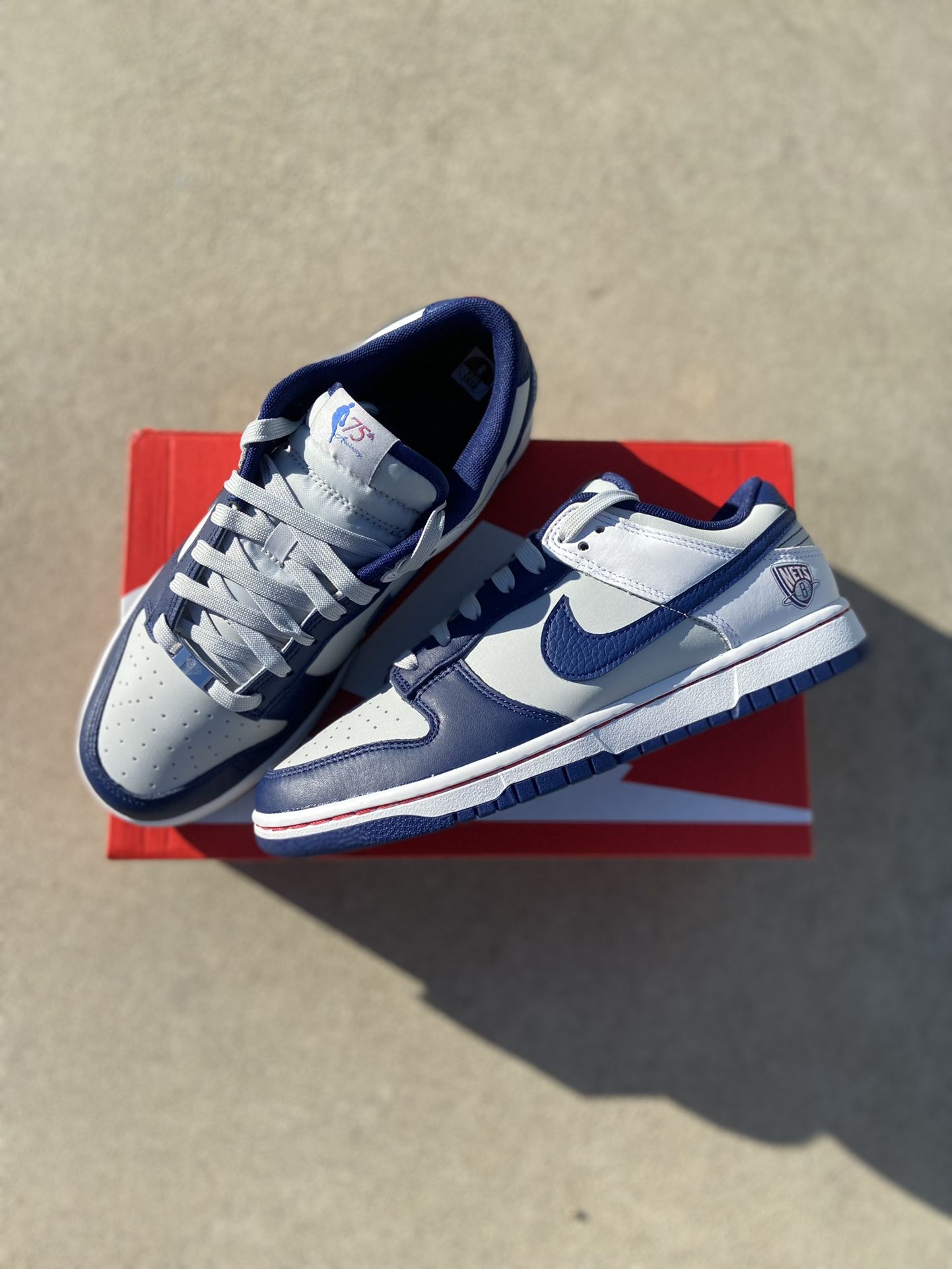 Nike Dunk Low EMB 