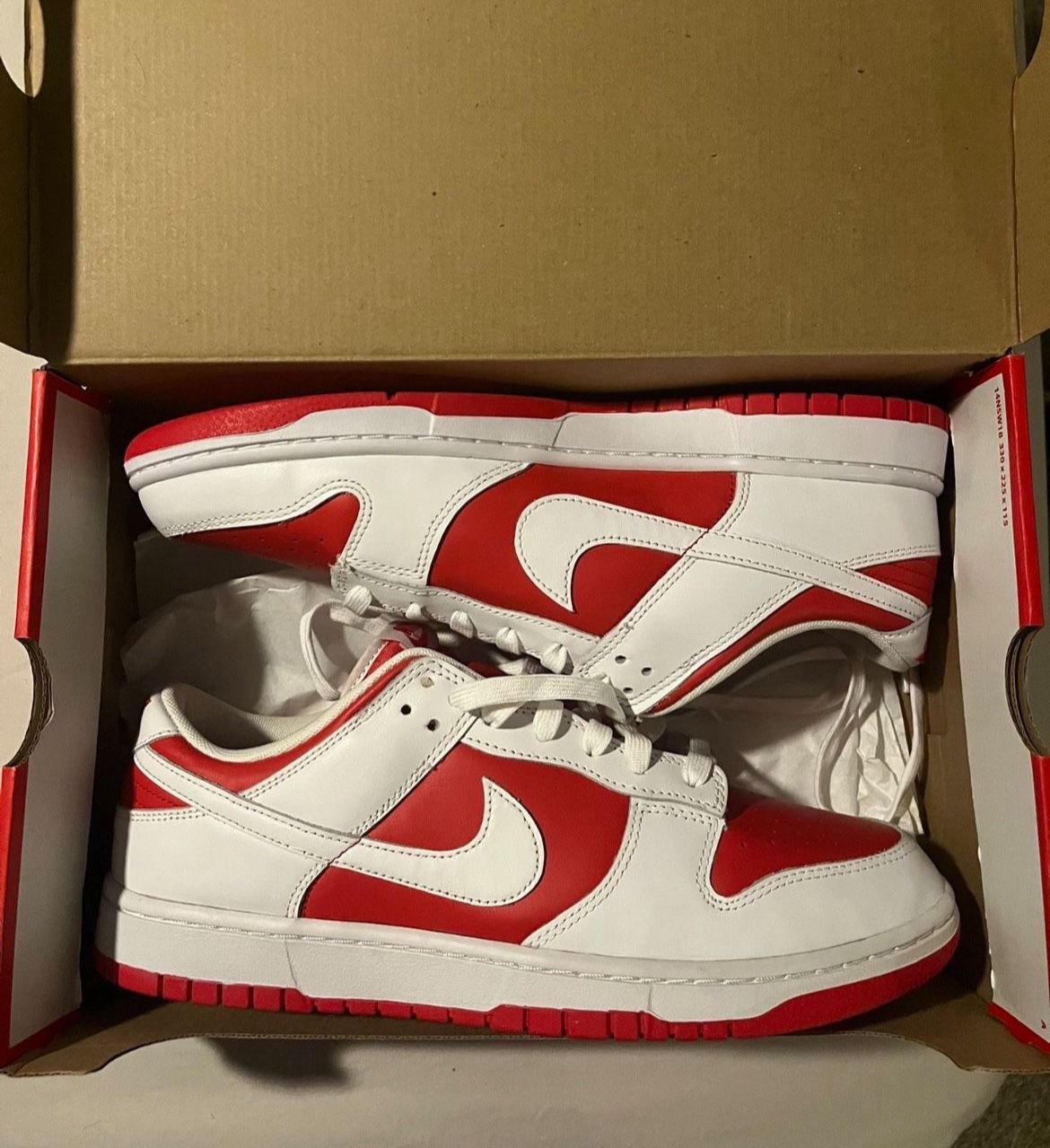 Nike Championship Red Dunks Size 12 New