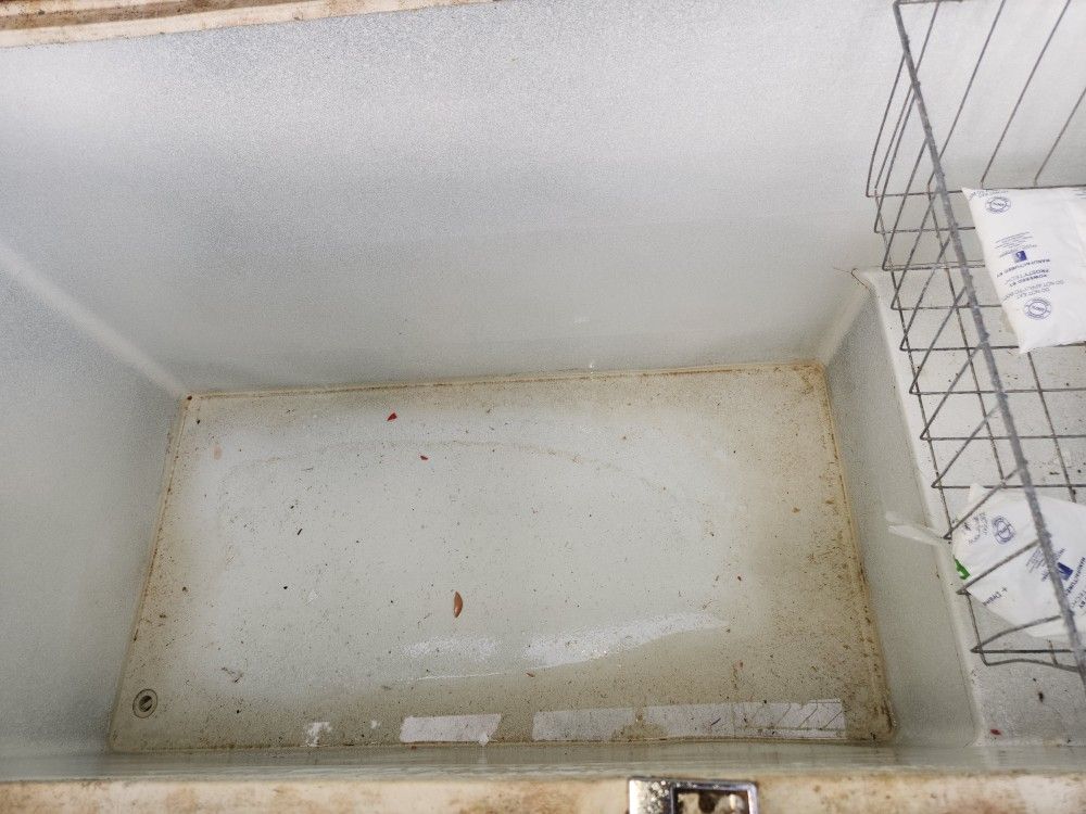 Sears And Roebuck Coldspot Chest Freezer